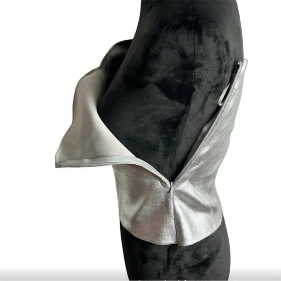 ZARA Silver Foil Metallic Strapless Tube Top - Picture 9 of 9